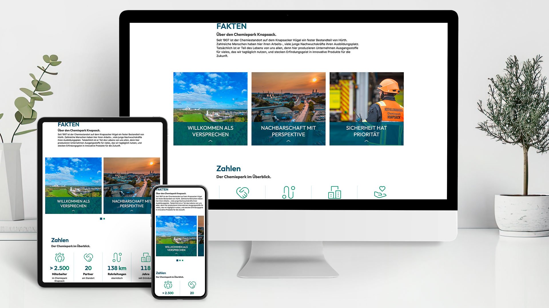 yncoris_relaunch_fakten