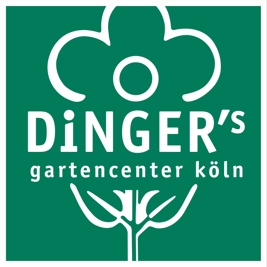 logo_dingers
