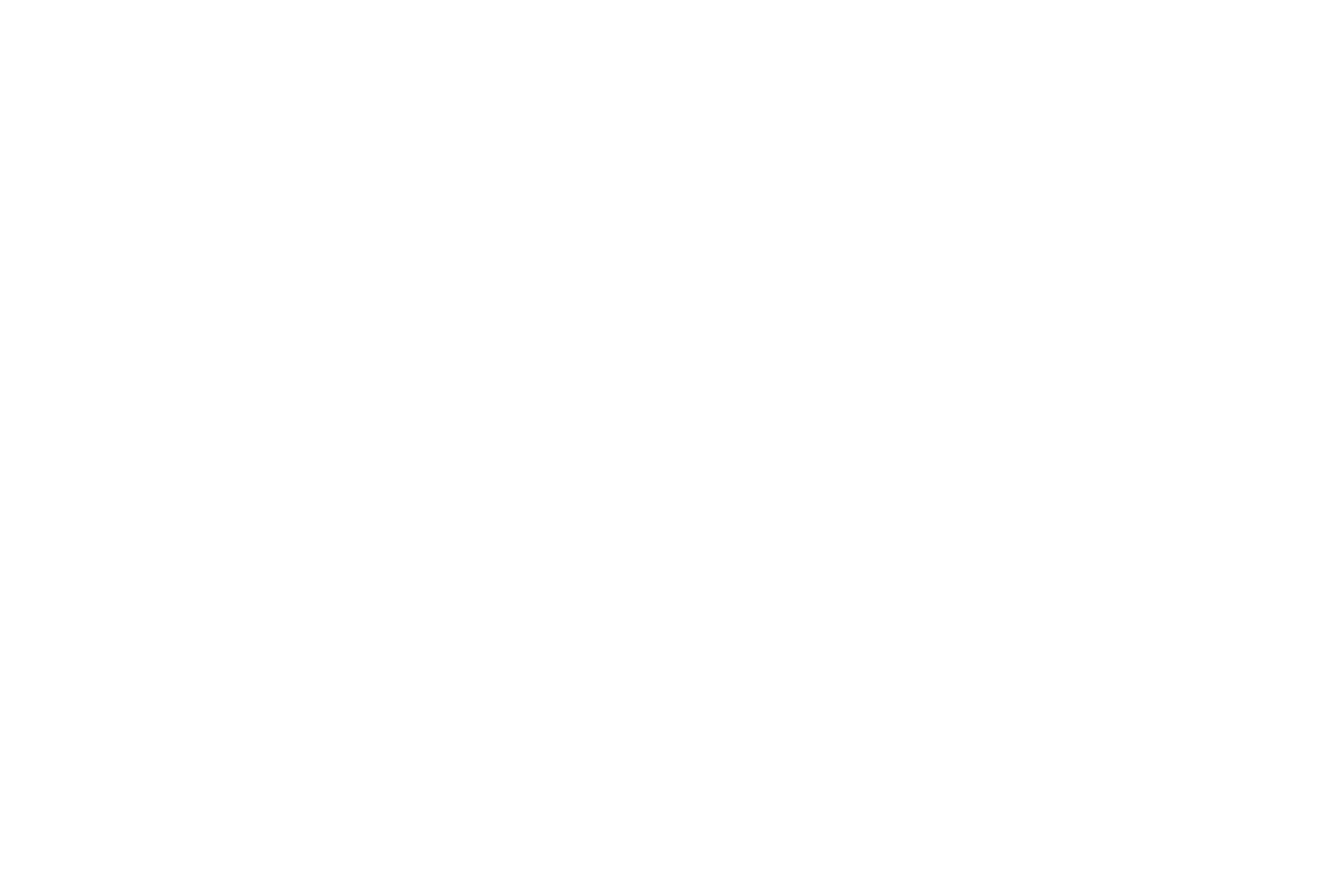 logo_alfa_weiss