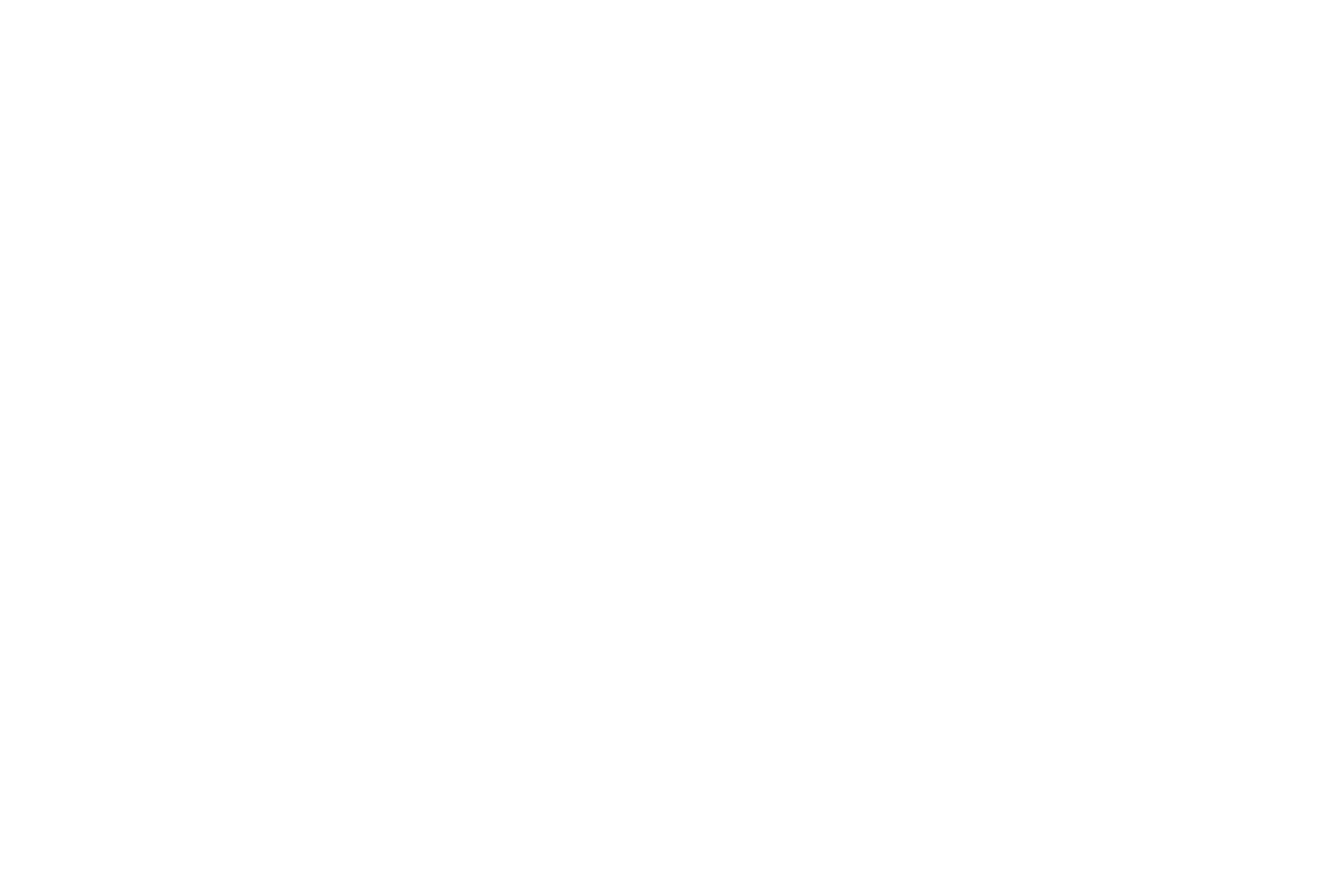logo_ele_weiss
