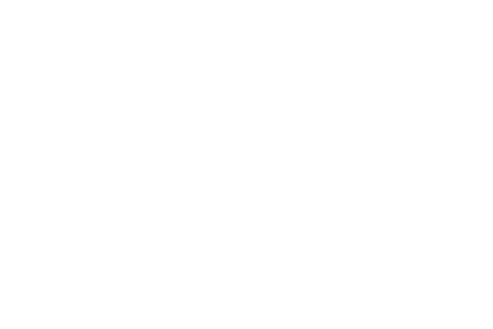 logo_sw_troisdorf_weiss