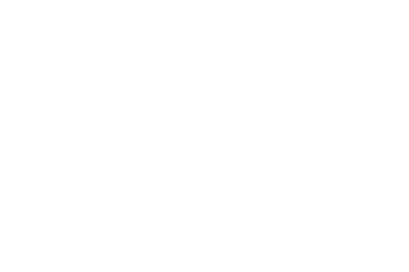 logo_ifu_weiss